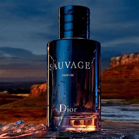 dupe of sauvage|best dior sauvage dupe reviews.